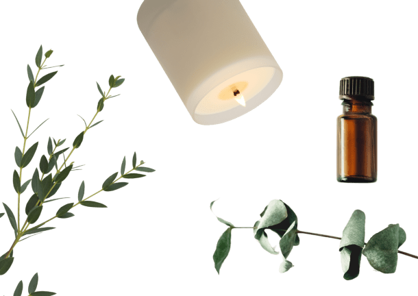 A comb and make up products