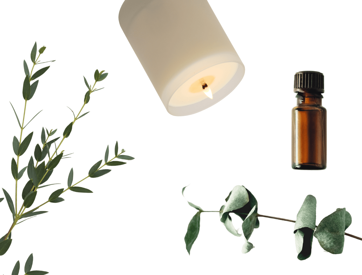 A comb and make up products