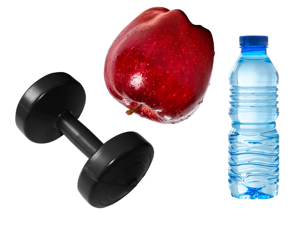 health fitness nutrition